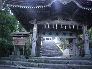 http://entotsuyama.hobby-web.net/daisen4.jpg