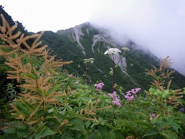 http://entotsuyama.hobby-web.net/daisen27.jpg