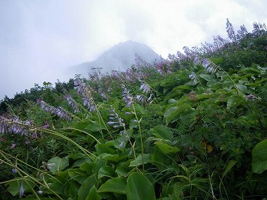 http://entotsuyama.hobby-web.net/daisen33.jpg