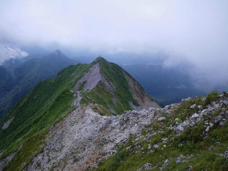 http://entotsuyama.hobby-web.net/daisen51big.jpg