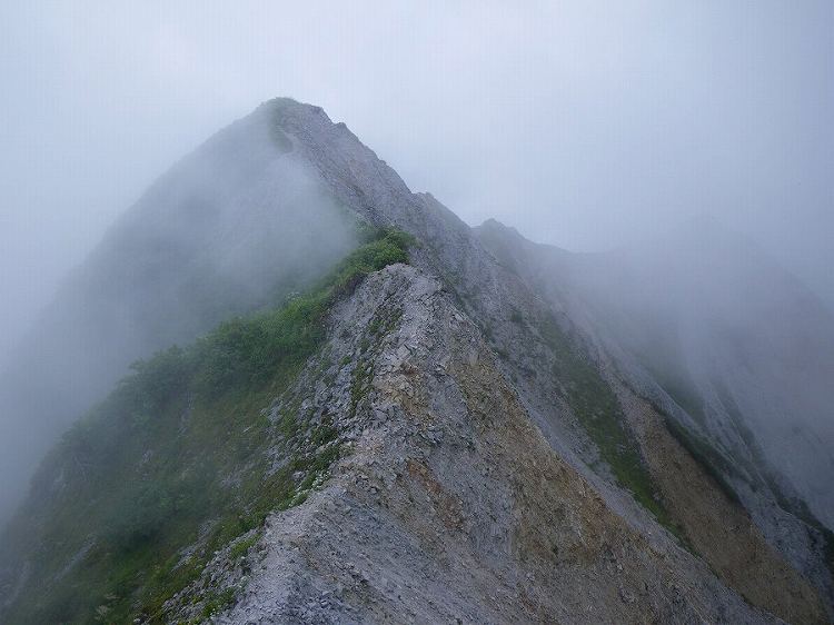 http://entotsuyama.hobby-web.net/daisen56.jpg