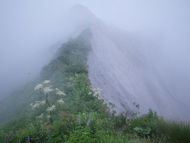 http://entotsuyama.hobby-web.net/daisen57.jpg