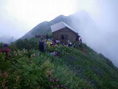 http://entotsuyama.hobby-web.net/daisen68.jpg