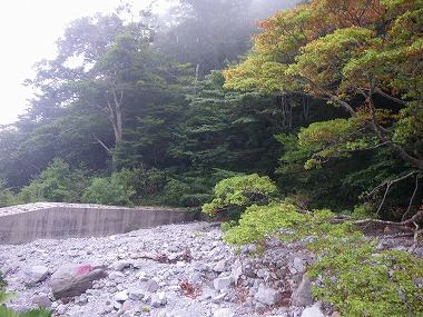 http://entotsuyama.hobby-web.net/daisen76.jpg