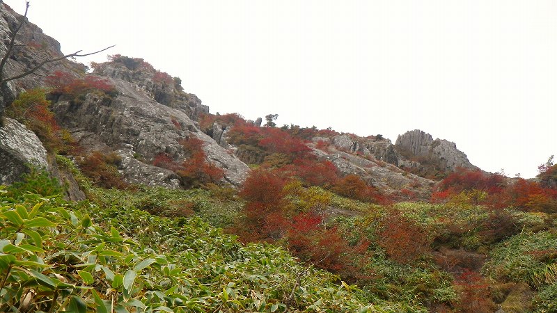 http://entotsuyama.hobby-web.net/IMGP1959.jpg