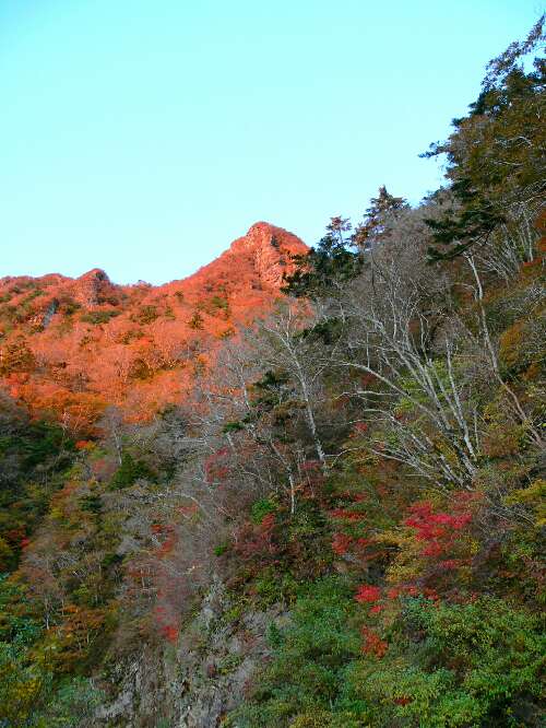 http://entotsuyama.hobby-web.net/1morgen.jpg