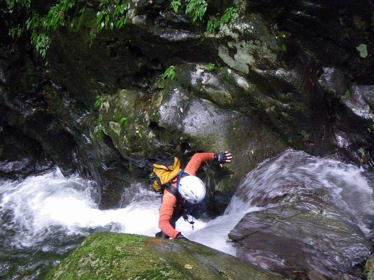 http://entotsuyama.hobby-web.net/banshodani-gakugaku.jpg