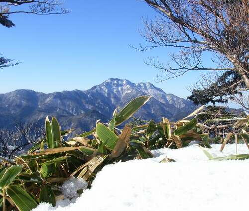 http://entotsuyama.hobby-web.net/img4973.jpg