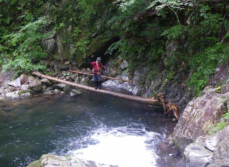 http://entotsuyama.hobby-web.net/banshodani-mashi.jpg
