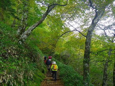 http://entotsuyama.hobby-web.net/IMGP1824.jpg