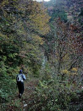 http://entotsuyama.hobby-web.net/2rindou.jpg
