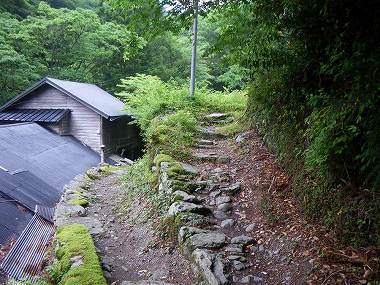 http://entotsuyama.hobby-web.net/nishinokawa36oji3.jpg