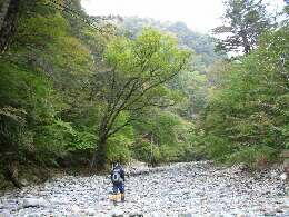 http://entotsuyama.hobby-web.net/img4747.jpg