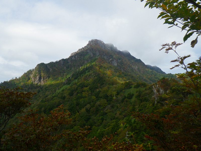 http://entotsuyama.hobby-web.net/IMGP1827.jpg