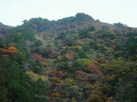 http://entotsuyama.hobby-web.net/3ogiyama.jpg