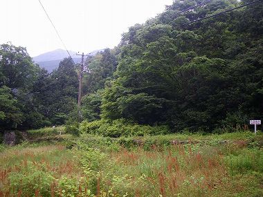 http://entotsuyama.hobby-web.net/nishinokawa36oji4big.jpg