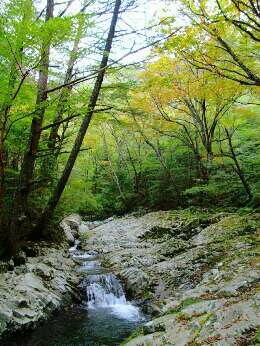 http://entotsuyama.hobby-web.net/img4748.jpg