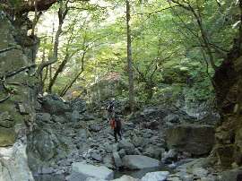http://entotsuyama.hobby-web.net/kanmon.jpg