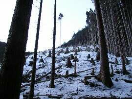 http://entotsuyama.hobby-web.net/img4982.jpg