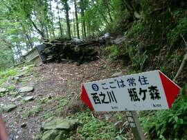 http://entotsuyama.hobby-web.net/img5082.jpg