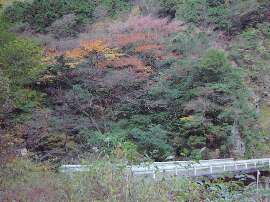 http://entotsuyama.hobby-web.net/3hashi.jpg