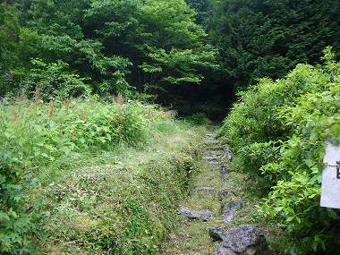 http://entotsuyama.hobby-web.net/nishinokawa36oji4.jpg