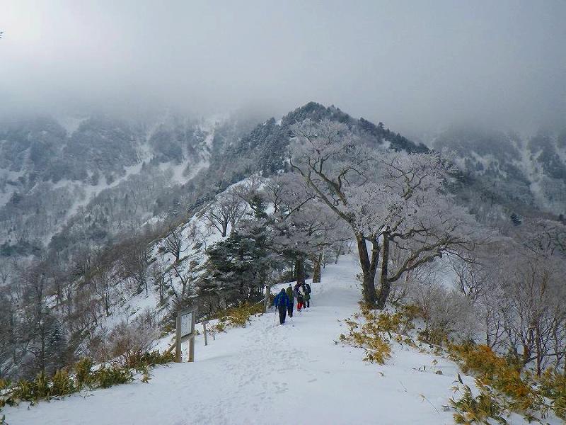http://entotsuyama.hobby-web.net/toryo-5b.jpg