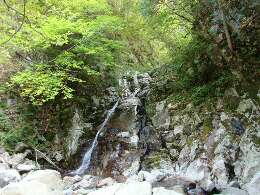 http://entotsuyama.hobby-web.net/img4750.jpg