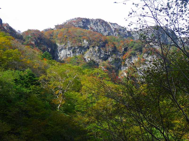 http://entotsuyama.hobby-web.net/IMGP1835.jpg