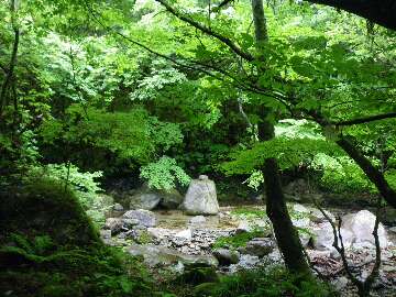 http://entotsuyama.hobby-web.net/suishou11.jpg