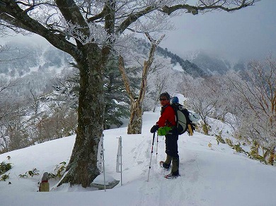 http://entotsuyama.hobby-web.net/toryo-6.jpg