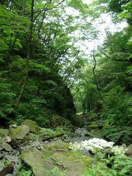 http://entotsuyama.hobby-web.net/img5084.jpg