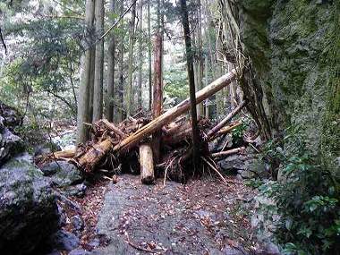 http://entotsuyama.hobby-web.net/itazuri8.jpg