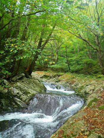 http://entotsuyama.hobby-web.net/kitah20n10g6.jpg