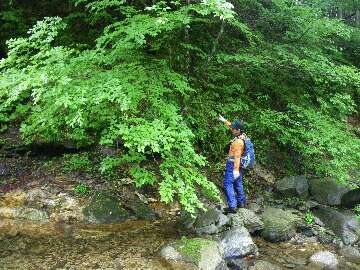 http://entotsuyama.hobby-web.net/suishou13.jpg