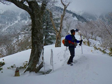 http://entotsuyama.hobby-web.net/toryo-7.jpg