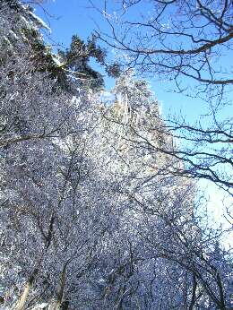 http://entotsuyama.hobby-web.net/img4985.jpg