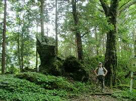 http://entotsuyama.hobby-web.net/img5085.jpg