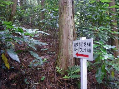 http://entotsuyama.hobby-web.net/nishinokawa36oji7.jpg