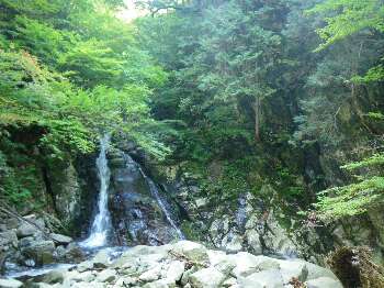 http://entotsuyama.hobby-web.net/kitah20n10g7.jpg