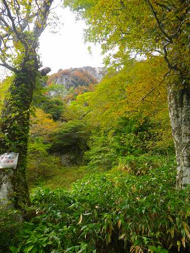 http://entotsuyama.hobby-web.net/IMGP1839.jpg