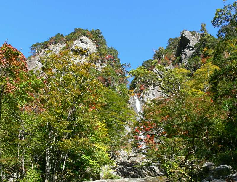 http://entotsuyama.hobby-web.net/goraikounotakienkei.jpg