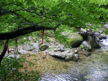http://entotsuyama.hobby-web.net/suishou14.jpg