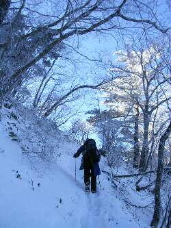 http://entotsuyama.hobby-web.net/img4986.jpg