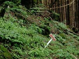 http://entotsuyama.hobby-web.net/img5086.jpg