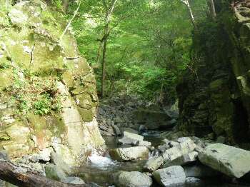 http://entotsuyama.hobby-web.net/kitah20n10g8.jpg