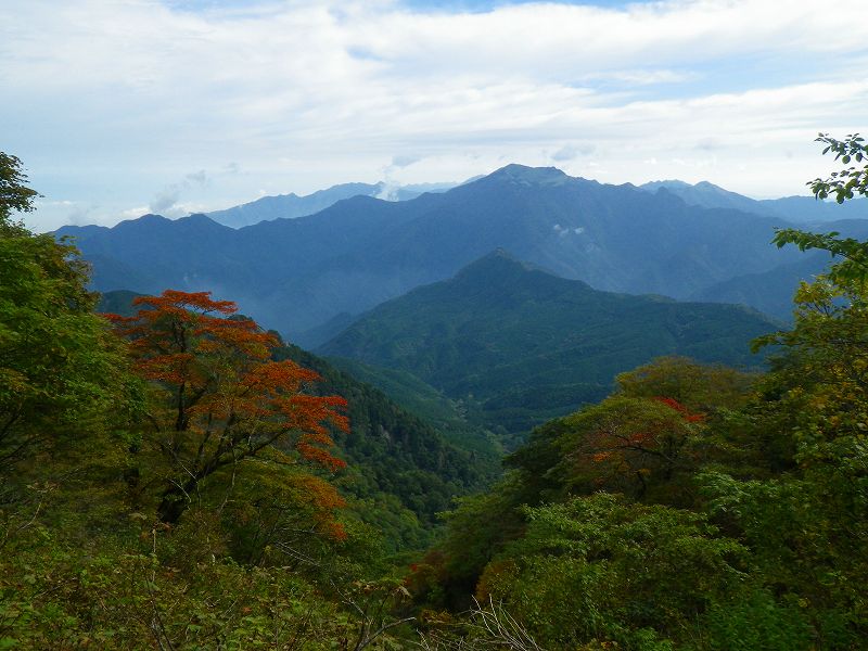 http://entotsuyama.hobby-web.net/IMGP1840.jpg