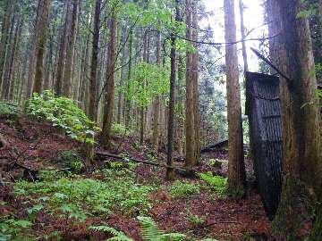 http://entotsuyama.hobby-web.net/suishou15.jpg