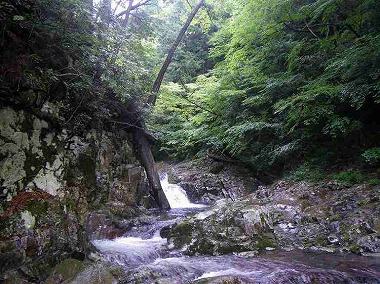 http://entotsuyama.hobby-web.net/banshodani5.jpg