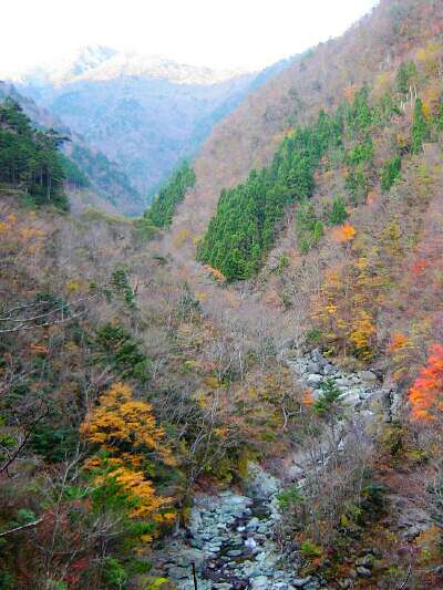 http://entotsuyama.hobby-web.net/10tanifukei.jpg